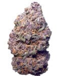Purple Gelato - House Special