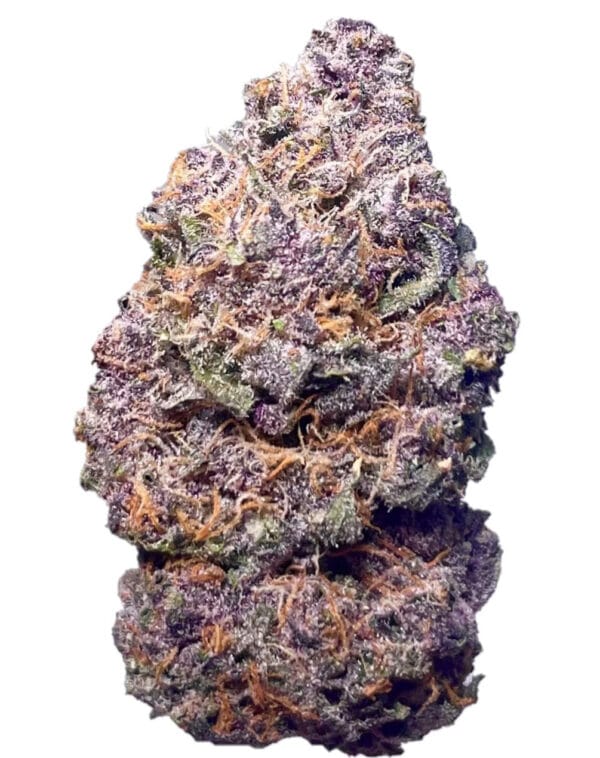 Purple Gelato - House Special