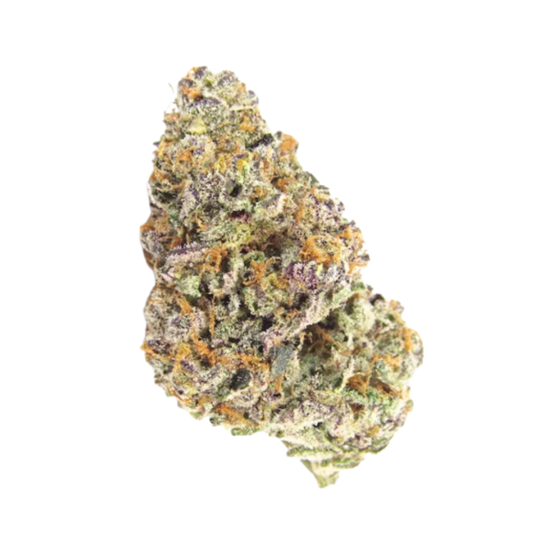 Geladosi X Sherbert – 28.00G