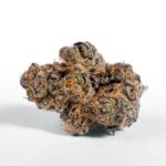 Peanut Butter Breath Special