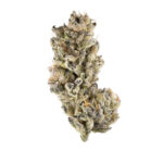 Purple Punch Special