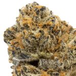 Sherb Breath Special
