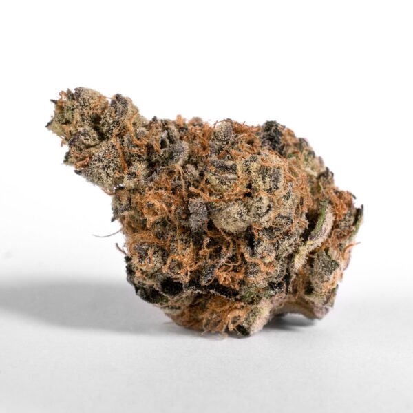 Slurricane Special